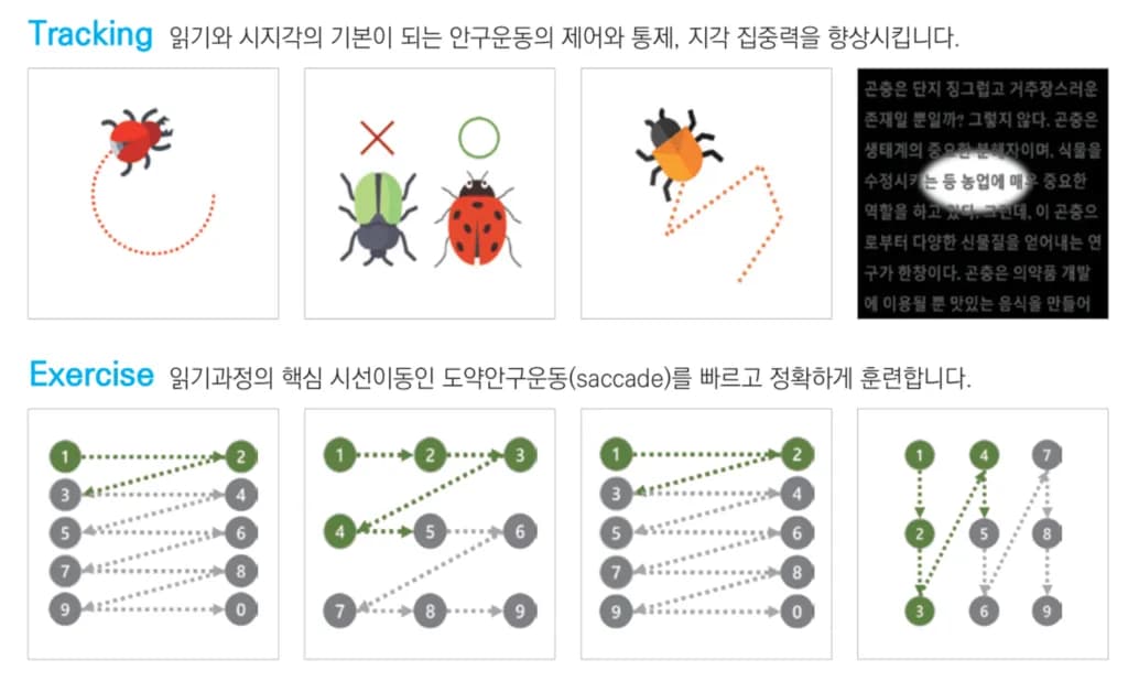 Eye Training 시선추적 훈련