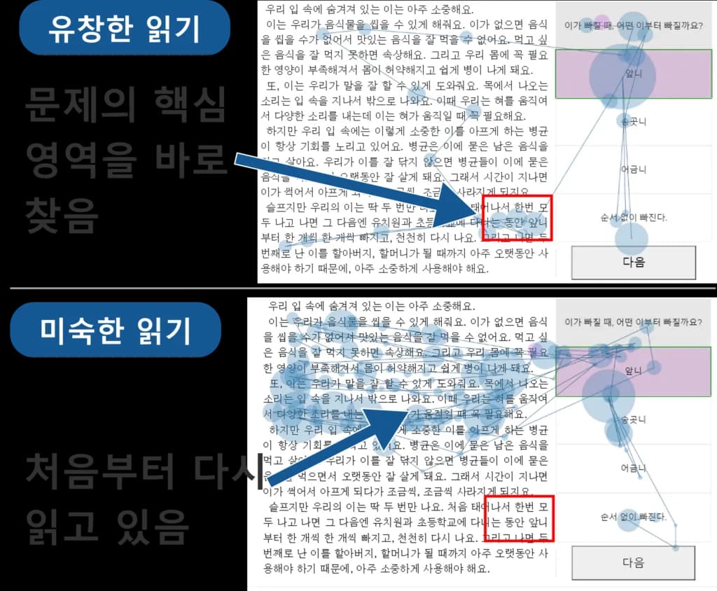 정보탐색전략 검사 — 시선 탐색 패턴